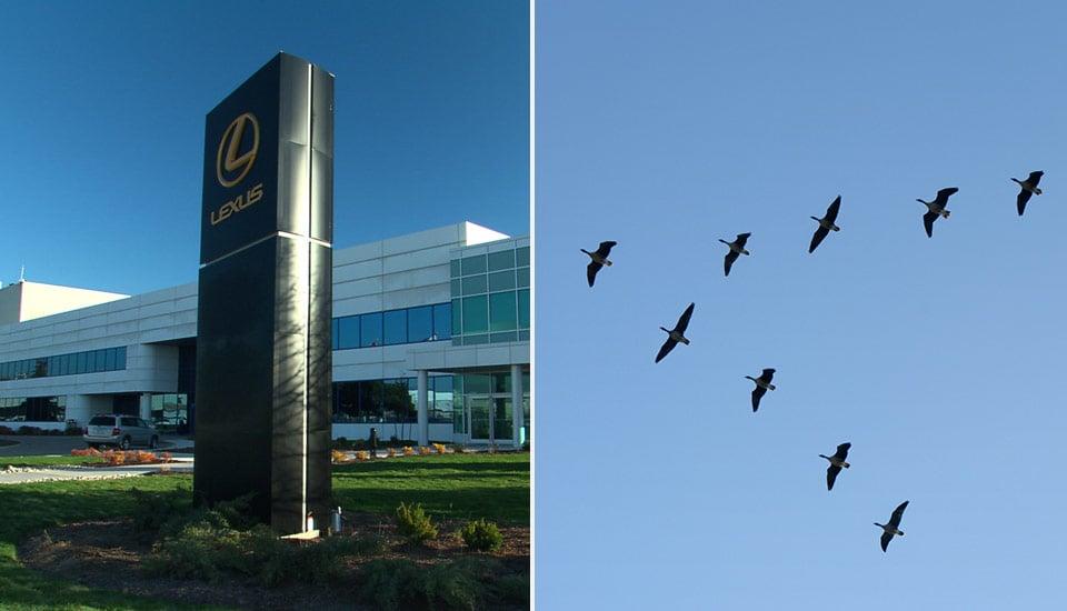 Lexus Environmental Impact Lexus Dealership